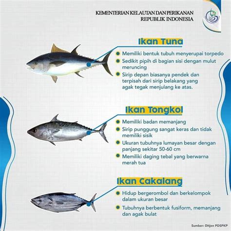Ikan tuna dan tongkol  Dapatkan App